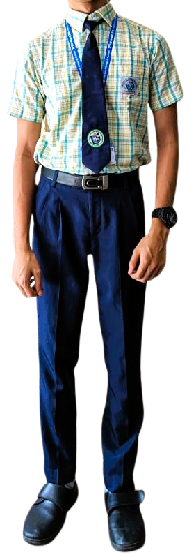 dress image